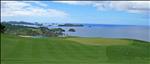 Kauri Cliffs 4